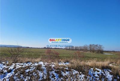 Teren Construcții intravilan de 25000 mp, în Corbeanca - 5