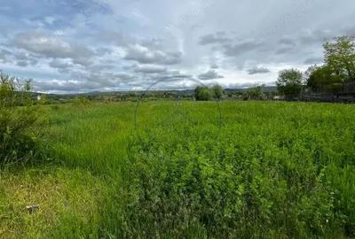 Teren extravilan de vanzare 2.800 mp, Livezile, jude?ul Bistri?a-Nasaud - 2