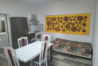 Apartament cu 2 camere decomandat în Drumul Carului - 2