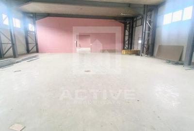 Hala cu curte proprie -zona napolact - 11