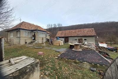 Casă cu 2 camere în Vale - 5