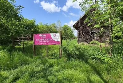 Teren Construcții intravilan de 2400 mp, în Pachia - 10