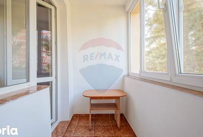 Apartament cu 2 camere semidecomandat în Gării - 20