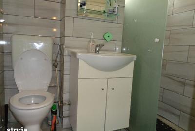 Apartament cu 2 camere în Șega - 6