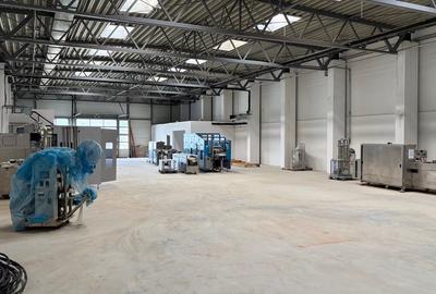 Hală industrială in Valul lui Traian cu 7.646 mp desfășurați si teren de 35000mp - 5