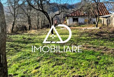 Casă individuală cu 4 camere cu Teren 1748 Mp în Cernișoara - 9