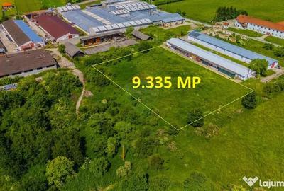 Teren de 9335 mp, în Teliu - 2