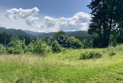 Vand teren intravilan Predeal, Timisul de Sus ideal obiective turistice - 4