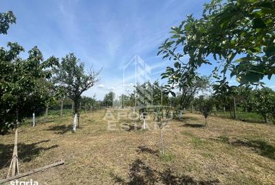 Casă cu 3 camere cu Teren 1400 Mp în Secusigiu - 8