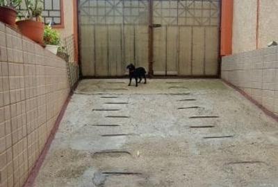 Exclusivitate!Vila si casa alaturate-580.000 euro si 280.000 euro (E2) - 32