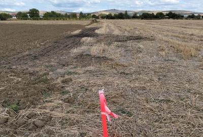 Spațiu comercial, în Valea Călugărească - 1