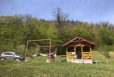 Teren de 6600 mp, în Cuejdiu - 2