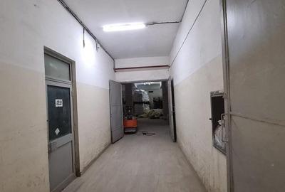 Drumul Intre Tarlale spatiu productie 1350 mp - 12