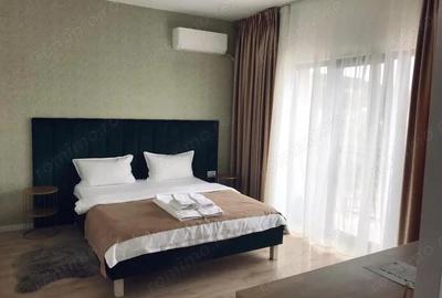 Garsoniera tip Aparthotel Afacere la cheie, Baile Felix, Bihor - 12
