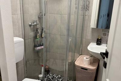 Apartament cu 3 camere decomandat, mobilat în Lazaret - 6