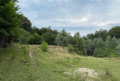 Teren de 200 mp, în Prislopu Mic - 4