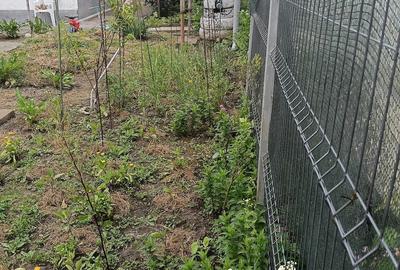 Casă cu 3 camere cu Teren 548 Mp în Sud - 10
