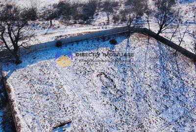 Teren intravilan 1000 mp – Alexandru cel Bun - 2