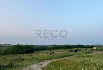 Teren de 903 mp, în Paleu - 3