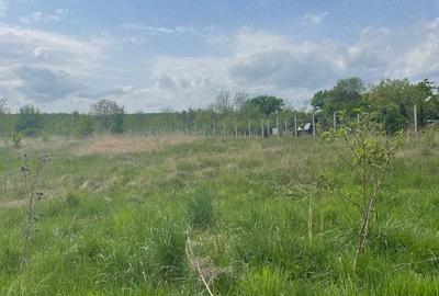 Teren de 550 mp, în Tăuții-Măgherăuș - 6