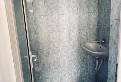 Spatiu comercial 80 mp cu intrare din strada Brancoveanu! - 9