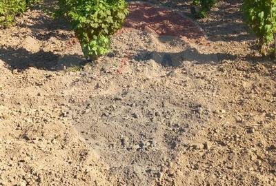 Teren 1,800mp Satu Nou de Sus / Strada Tineretului - 8