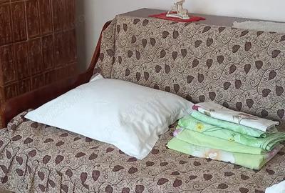 Casa de vanzare in Com.Movila, jud. Ialomita - 6