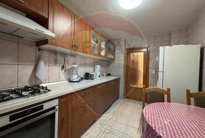 4 camere de vanzare TEIUL DOAMNEI zona verde-linistita, bloc anvelopat - 5