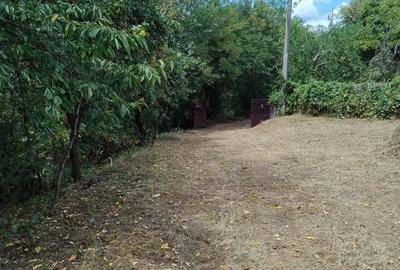 Casă cu 4 camere în Măldărești - 7