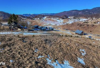 Spațiu comercial, în Șirnea - 6