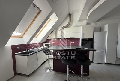 Apartament 4 camere cu etaj, AC, PET FRIENDLY, Torontalului - 11