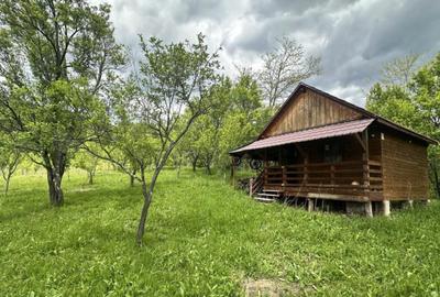 Teren intravilan 3102mp zona Racovita-Blanoiu - 10