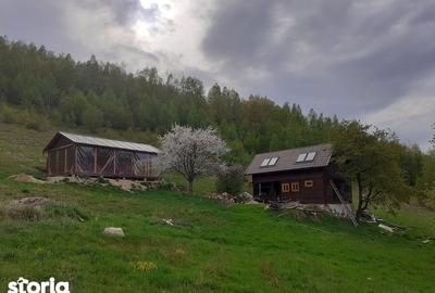 Casă cu 4 camere cu Teren 8000 Mp în Vale - 2