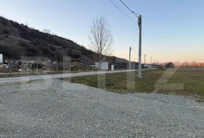 Teren intravilan industrial, 4307 mp, Podari - 1