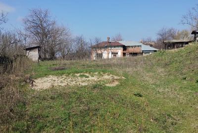 Spațiu comercial, în Uda-Clocociov - 1