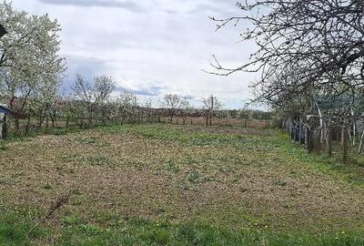 Casă cu 3 camere cu Teren 1000 Mp în Bratia din Deal - 4