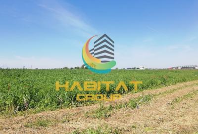 Teren Construcții intravilan de 400 mp, în Frumușani - 5