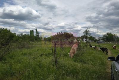 Teren Construcții intravilan de 3750 mp, în Giulești - 12