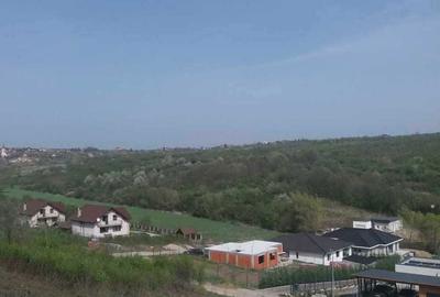 Spațiu comercial, în Săldăbagiu de Munte - 8