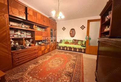 2 Camere Theodor Pallady Salajan - 1