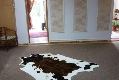 Casă cu 6 camere cu Canalizare în Dacia - 12