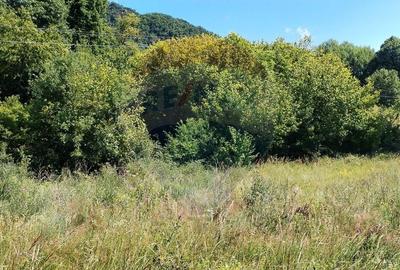 Teren Construcții intravilan de 3871 mp, în Vărmaga - 11