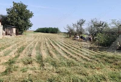 Teren intravilan 2.707 mp, Belin? - 3