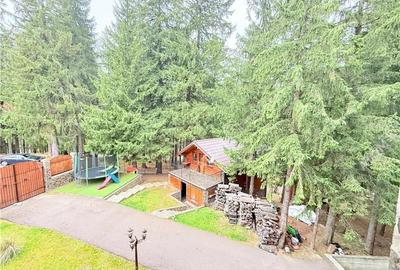 Propietate unicat de vanzare in Sibiu zona turistica Paltinis - 27