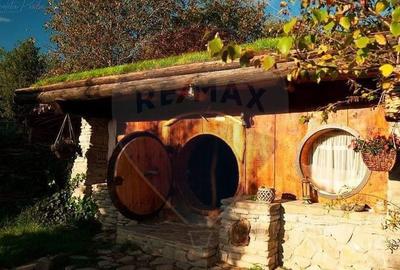 Hotel / Pensiune de vanzare Piatra Neamt - 14