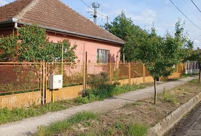 Casă cu 3 camere cu Teren 22000 Mp în Ardud - 2