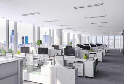 Comision 0! Inchiriere spatii birouri in The Mark -  214mp - 3