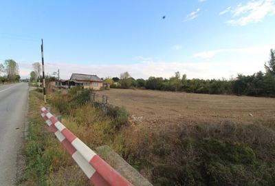 Parcela teren intravilan, 3169mp,  Tetila - 5