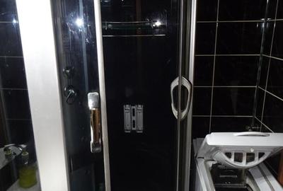 Vand apartament cu 2 camere, Deva, Dacia, mobilat - 3