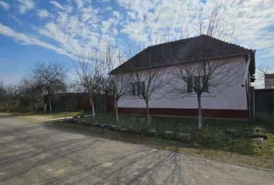 Vand casa si gradina in Satu Nou, Comuna Misca Jud, Arad - 8